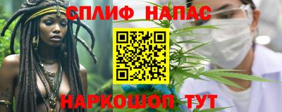 спиды Дубна