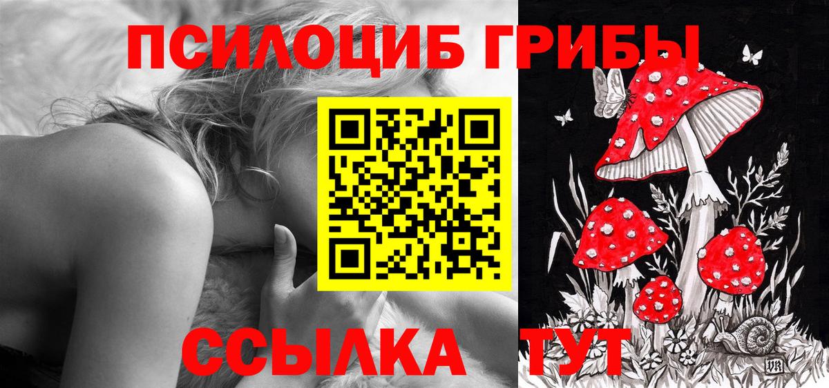 Нижний Тагил  Галлюциногенные грибы Psilocybine cubensis  Вход с VPN 