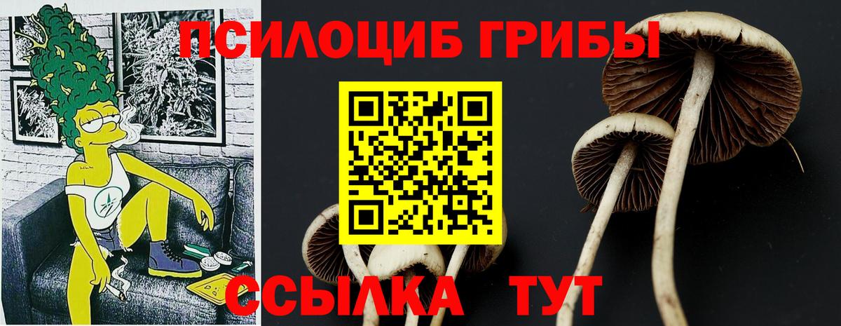 Псилоцибиновые грибы Magic Shrooms Нижний Тагил